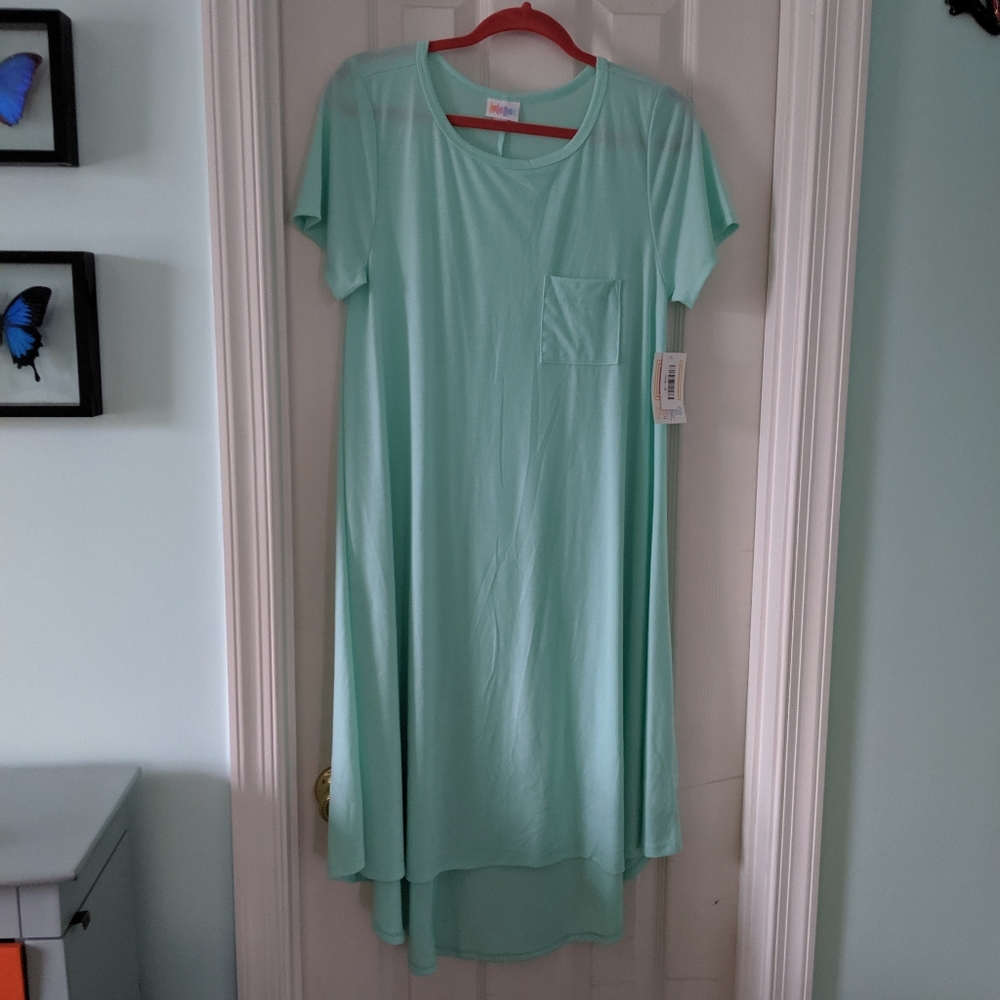 NWT Seafoam color Carly dress from Lularoe. sz M
